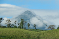 Arenal