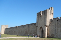 Camargue