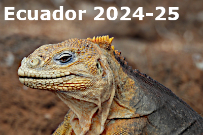 Ecuador 2024-25