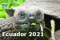 Ecuador 2021