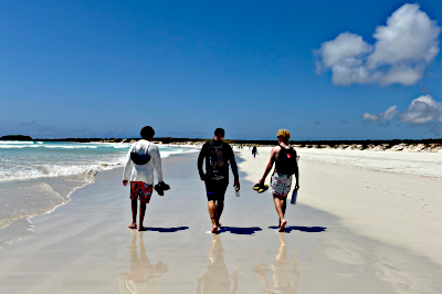 On Playa Tortuga Bay