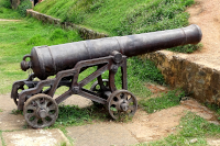 Cannon