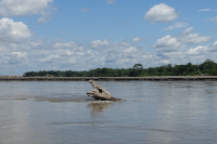 Napo River