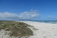 Shoreline
