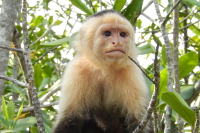 Quepos