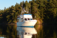 Serendipity at anchor