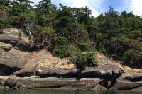 Finger Island